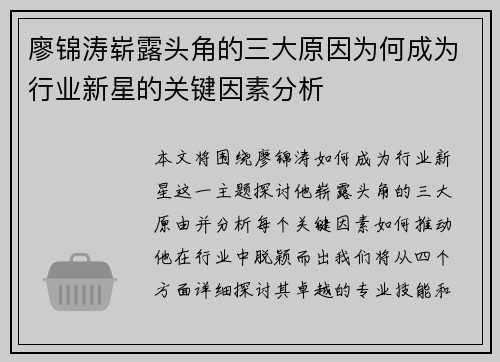 廖锦涛崭露头角的三大原因为何成为行业新星的关键因素分析