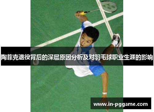 陶菲克退役背后的深层原因分析及对羽毛球职业生涯的影响 陶菲克退役背后的深层原因分析及对羽毛球职业生涯的影响