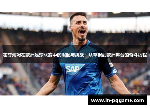 霍芬海姆在欧洲足球联赛中的崛起与挑战:从草根到欧洲舞台的奋斗历程 霍芬海姆在欧洲足球联赛中的崛起与挑战:从草根到欧洲舞台的奋斗历程